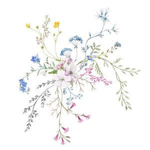 水彩郁金香組合 花卉藝術(shù)的絢麗綻放