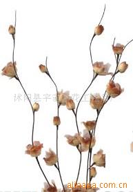 供應(yīng)葉脈花、龍柳、三叉木、龍桑、蘆葦專業(yè)指南